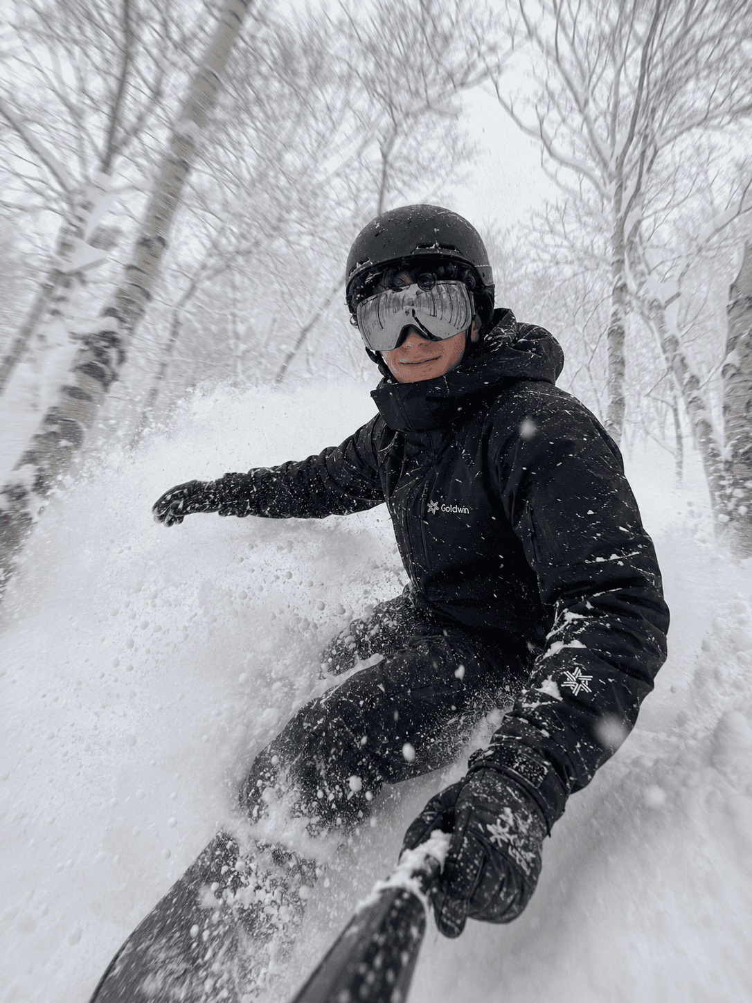 Niseko Powder
