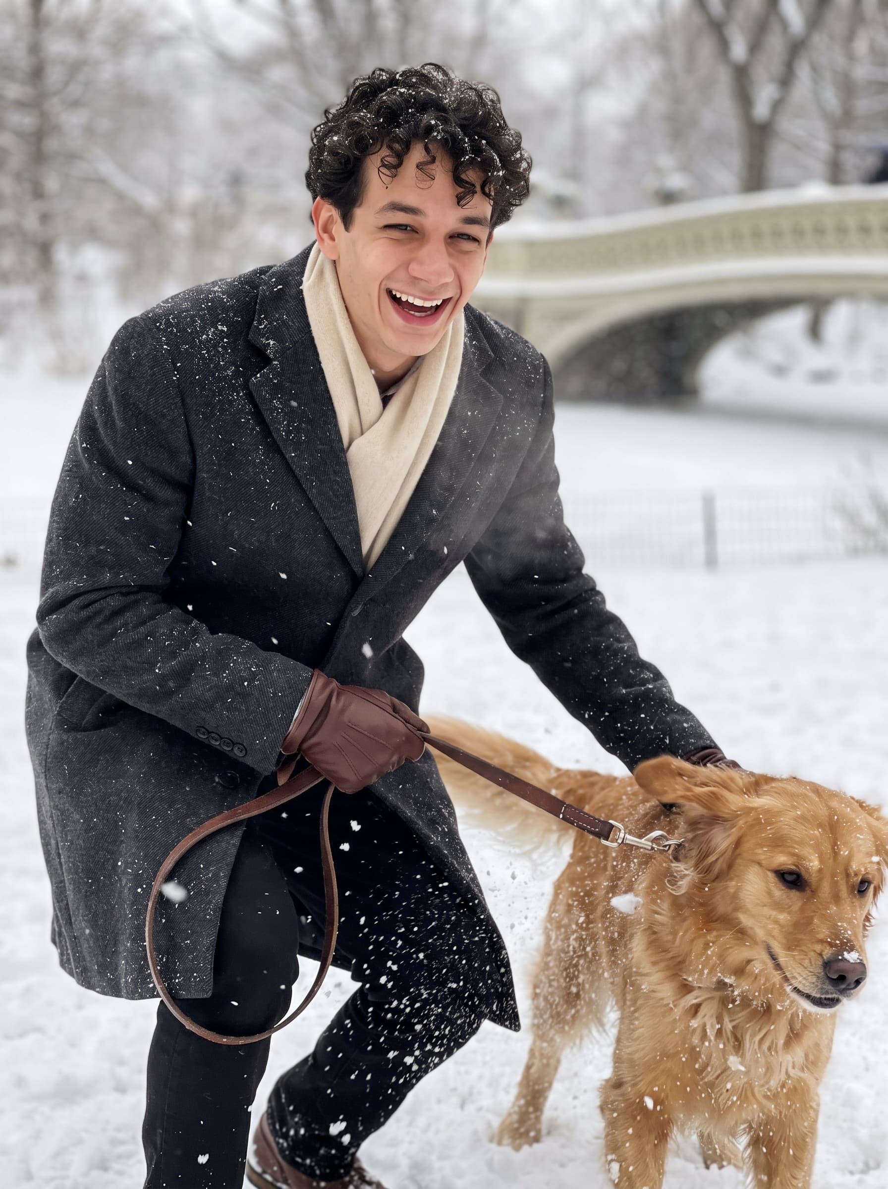 Central Park Snow Dog